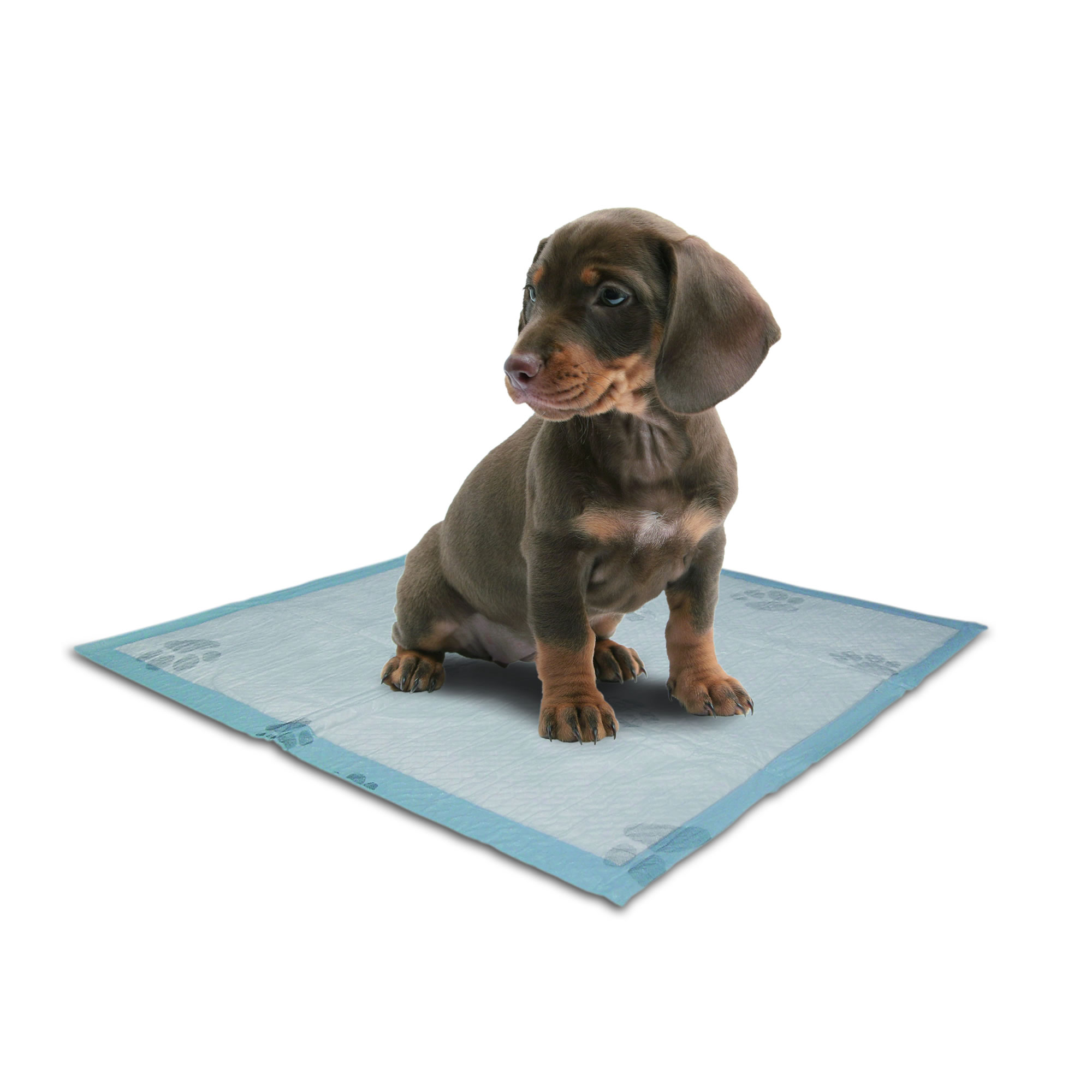 Tapete Para Perro Puppy Potty Pad Baño Portatil