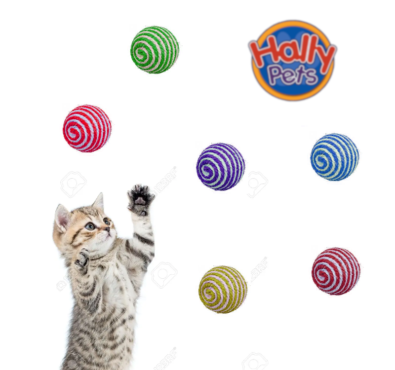 6 Juguetes Sonoras para Gatos